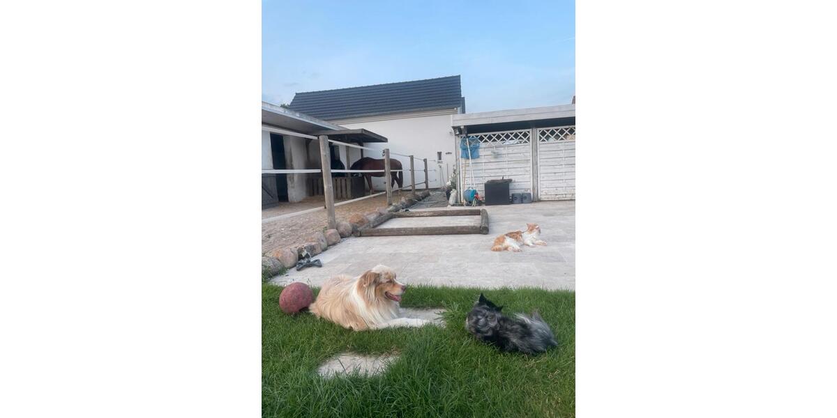 Einfamilienhaus mit Pferdehaltung in Bötzow zu verkaufen 4 zimmer