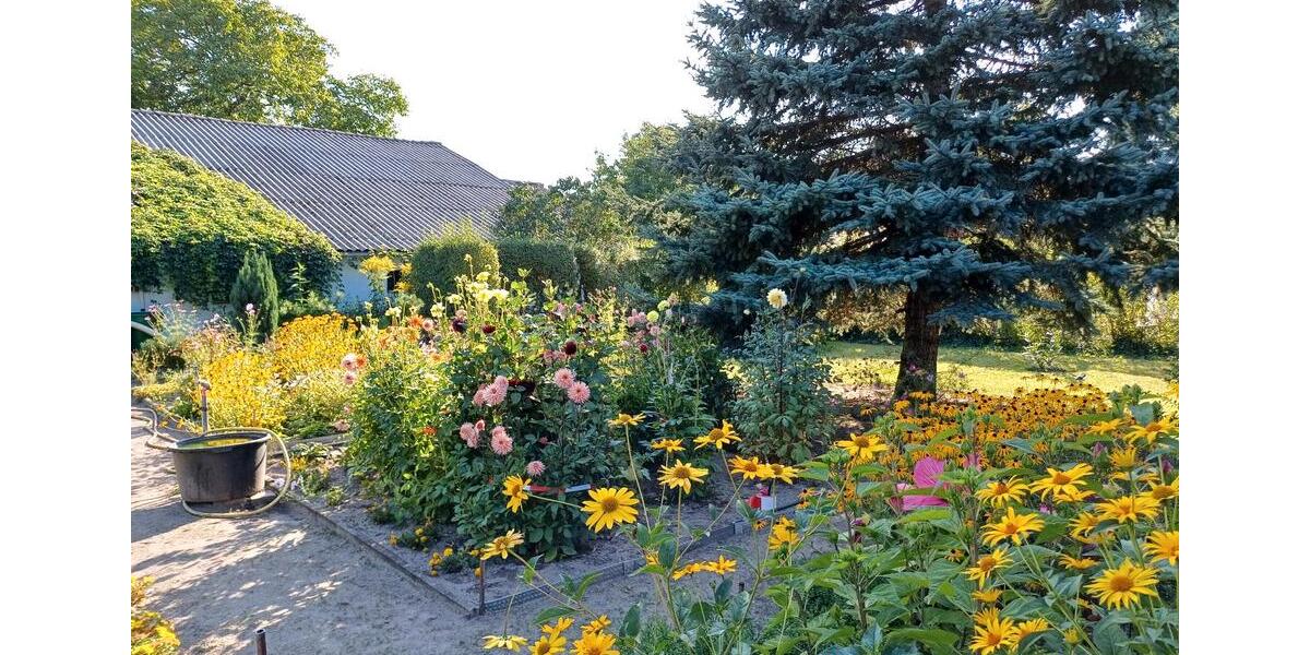 Mehrfamilienhaus, Wohnhaus Schöneiche bei Berlin - 11 Zimmer, 269 m&sup2;, 990.000&euro; | Angebot:26538571
