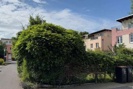 Haus zum Mieten in Berlin 3.000 € 178 m²