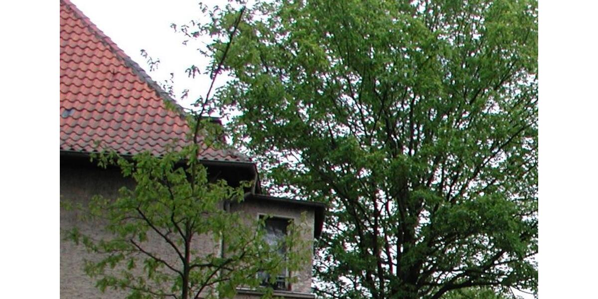 Dachgeschoßwohnung Hohen Neuendorf - 2 Zimmer, 38 m&sup2;, 925&euro; | Angebot:24328749