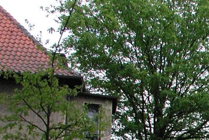 Wohnung Hohen Neuendorf - 2 Zimmer, 38 m&sup2;, 925&euro; | Angebot:24328749