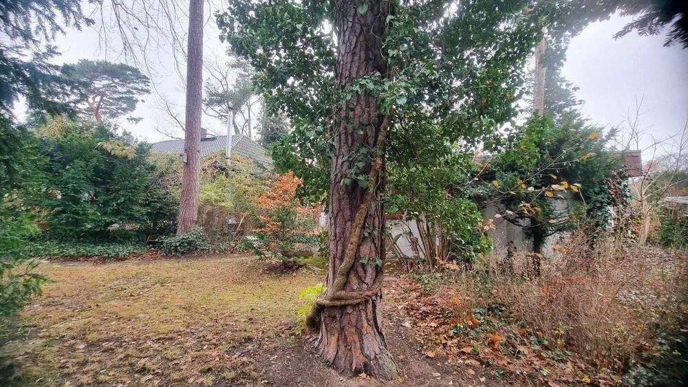 Grundstück Berlin Kladow - 415.000&euro; | Angebot:25700859