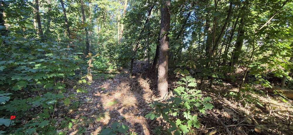 Grundstück mit Zukunftsperspektive – ca. 4.915 m² Waldfläche in Nuthetal zimmer