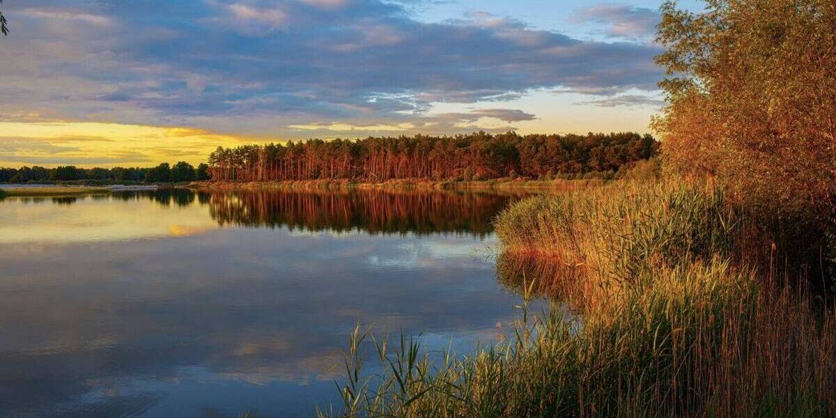 Gewerbeobjekt Wandlitz Zerpenschleuse - 7 Zimmer, 340.000&euro; | Angebot:23980365