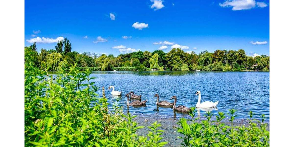 Etagenwohnung Berlin Reinickendorf - 3 Zimmer, 71 m&sup2;, 499.000&euro; | Angebot:25789979