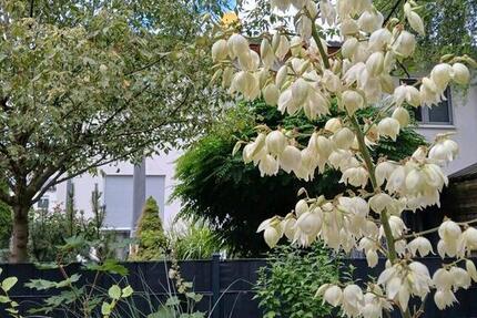 Haus Berlin Lichtenberg - 3 Zimmer, 109 m&sup2;, 555.000&euro; | Angebot:25994174