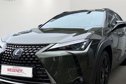 Lexus UX 71.478 km 23.890 &euro; Berlin 12349