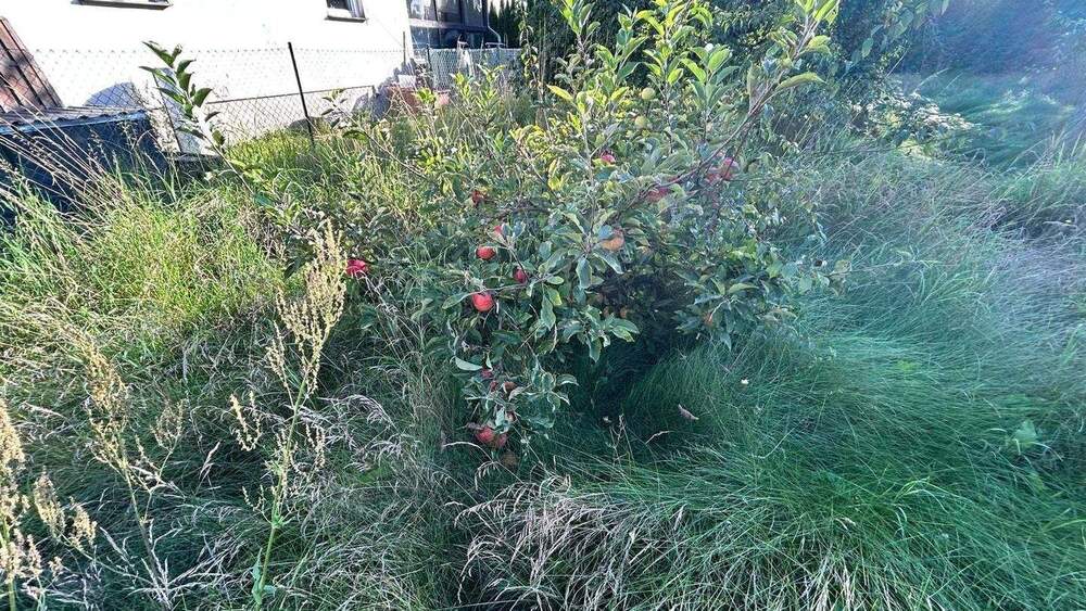 Grundstück Hennickendorf Hennickendorf - 130.000&euro; | Angebot:25797290