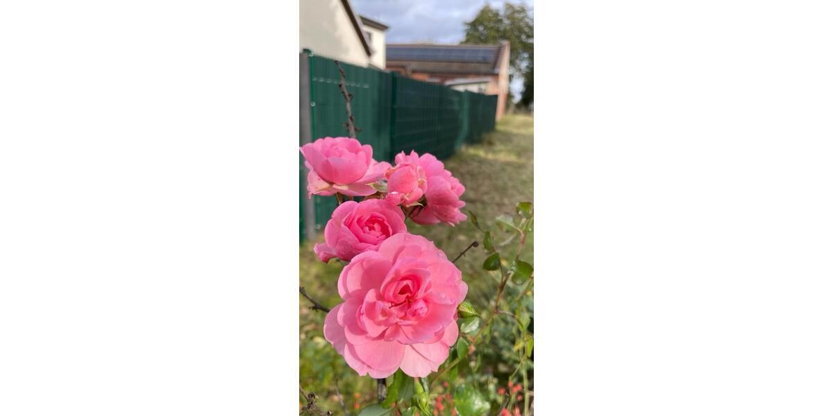 Einfamilienhaus Berlin Mitte - 179.000&euro; | Angebot:25986404