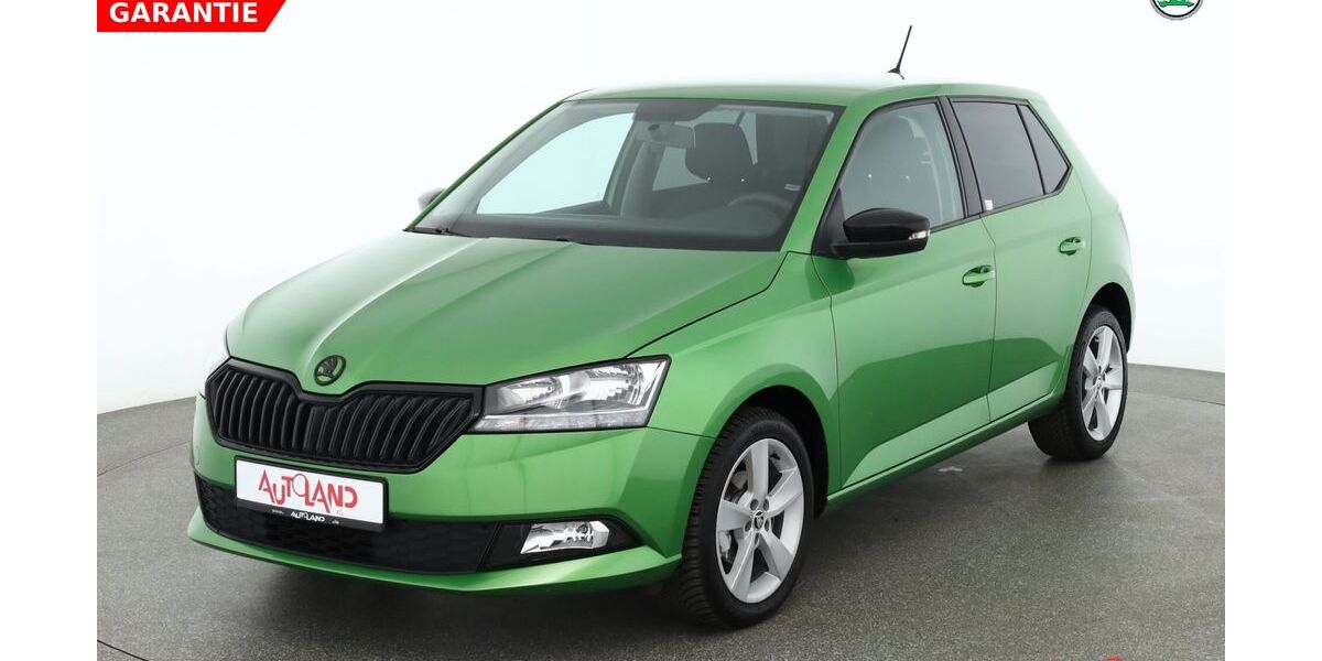 Skoda Fabia 64.263 km 12.990 &euro; Hoppegarten OT Hönow 15366