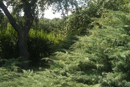 Grundstück Panketal/Neu Buch Neu Buch - 240.000&euro; | Angebot:25882784