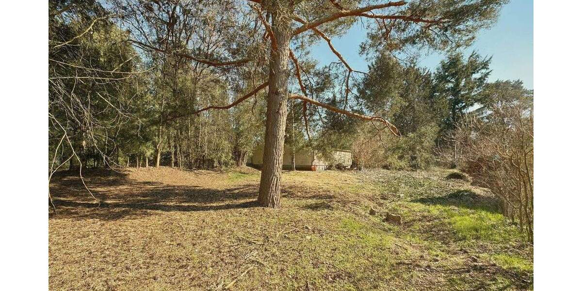 Grundstück Schöneiche Grätzwalde - 599.000&euro; | Angebot:24453559