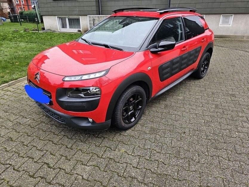 C4 Cactus