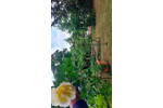 Bungalow m. gr. Garten