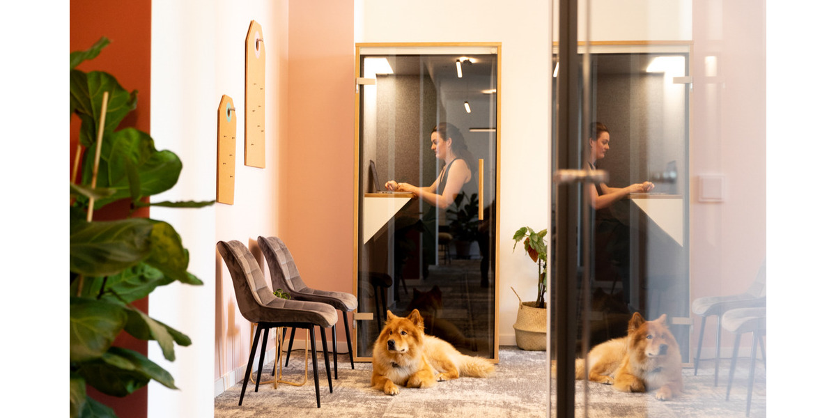 Gewerbeobjekt Berlin Tegel - 299&euro; | Angebot:26024235