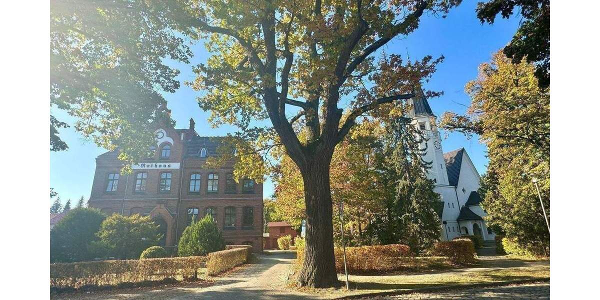 Etagenwohnung Zeuthen Falkenhorst - 3 Zimmer, 77 m&sup2;, 419.000&euro; | Angebot:25710482