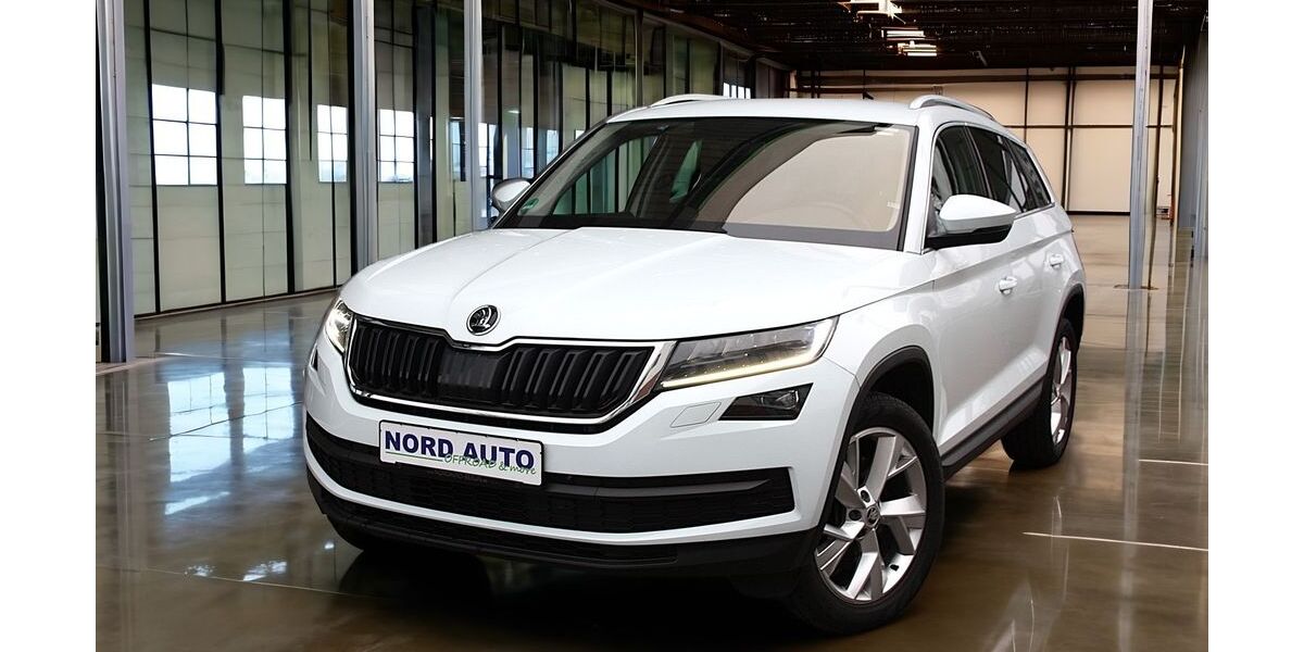 Skoda Kodiaq 119.000 km 21.980 &euro; Hennigsdorf bei Berlin 16761