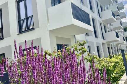 Wohnung Berlin Spandau - 2 Zimmer, 45 m&sup2;, 1.094&euro; | Angebot:25648708