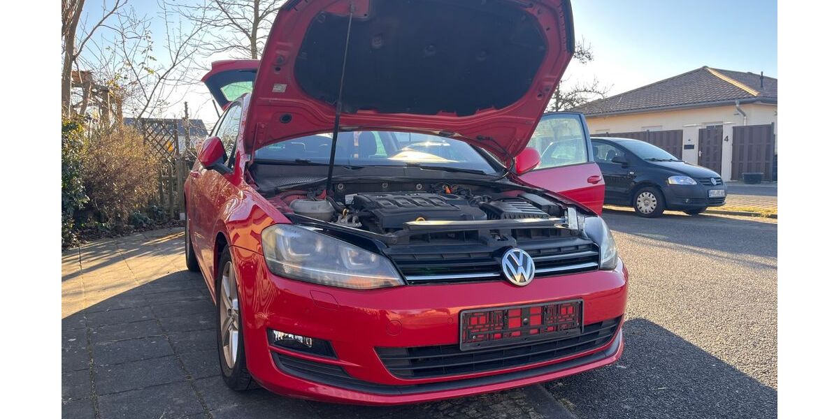 VW Golf 223.809 km 7.000 &euro; Brieselang 14656