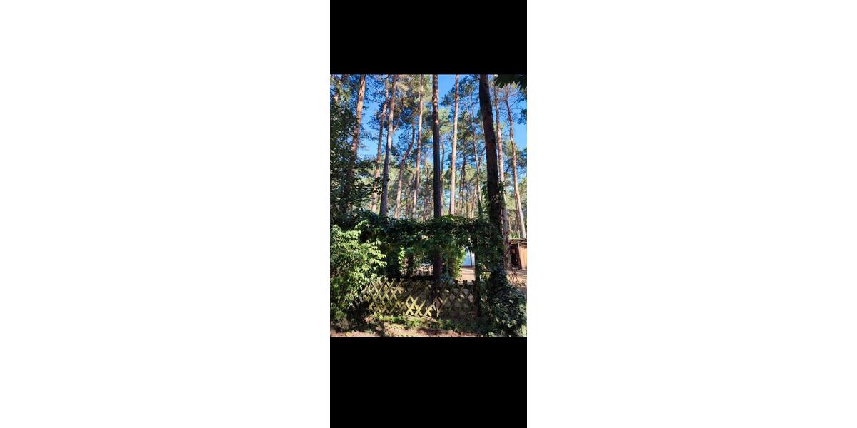 Bungalow Berlin Friedrichshain-Kreuzberg - 2 Zimmer, 28 m&sup2;, 14.900&euro; | Angebot:25885184