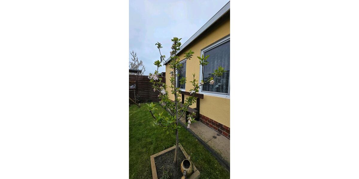 Bungalow Oranienburg - 2 Zimmer, 25 m&sup2;, 28.500&euro; | Angebot:26225081