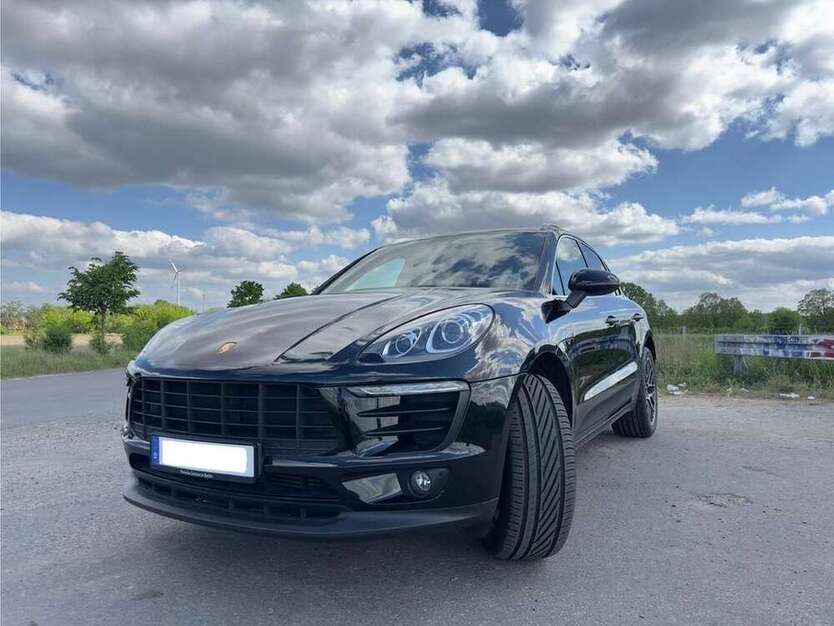 Macan