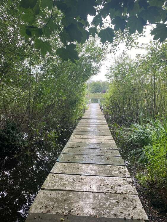 Leerstehendes Reihenendhaus: 100m² groß + ruhig im Grünen gelegen, Falkensee, nahe Potsdam + Berlin 4 zimmer