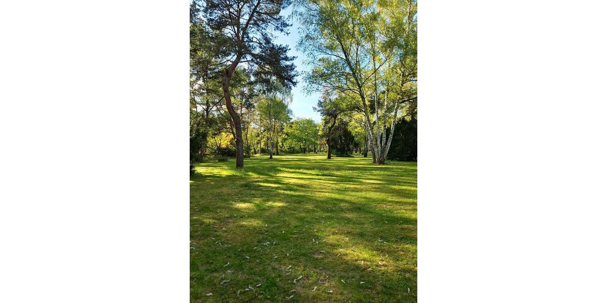 Etagenwohnung Berlin Treptow-Köpenick - 1 Zimmer, 65 m&sup2;, 1.000&euro; | Angebot:26395748