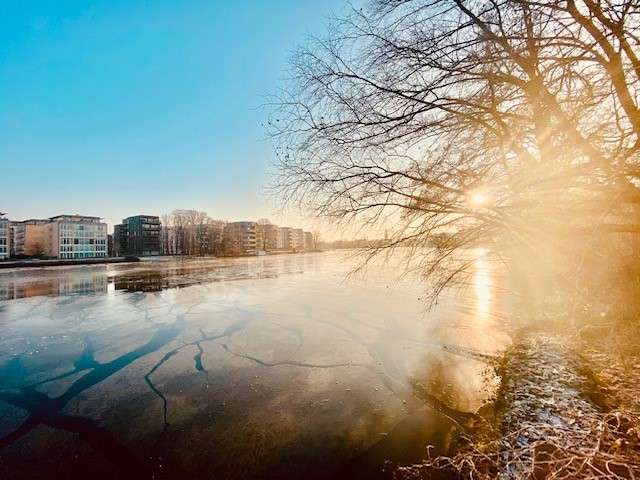 Etagenwohnung Berlin Köpenick - 1.5 Zimmer, 37 m&sup2;, 728&euro; | Angebot:25990464