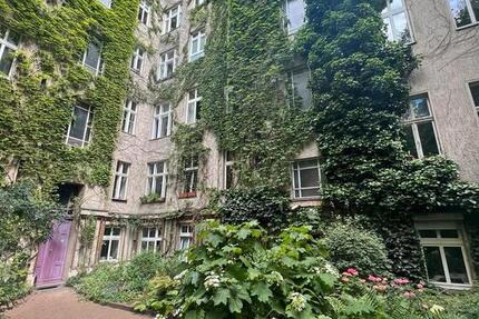 Wohnung im Gräfekiez zimmer