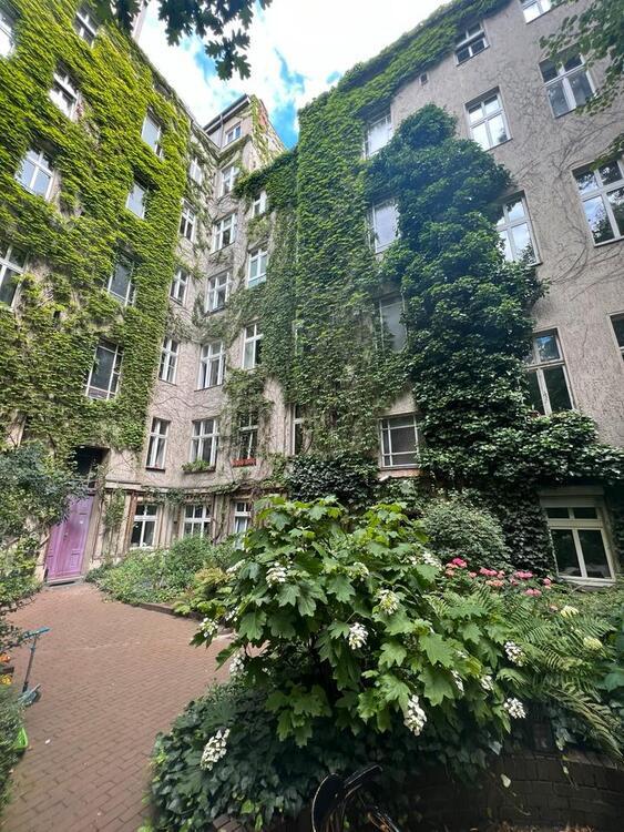 Wohnung im Gräfekiez zimmer