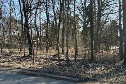 Grundstück Mahlow Mahlow - 70.000&euro; | Angebot:25900540