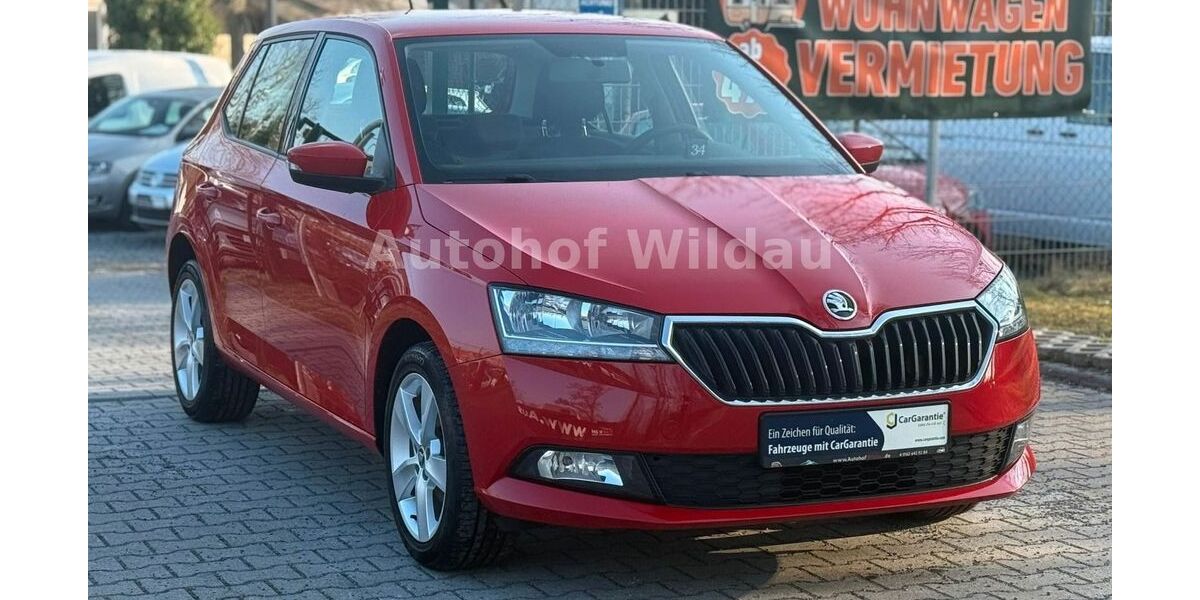 Skoda Fabia 76.693 km 9.790 &euro; Wildau 15745