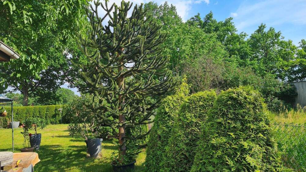 Grundstück Berlin Heiligensee - 600.000&euro; | Angebot:25709105