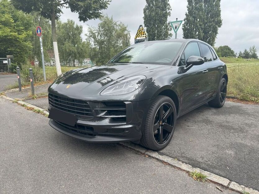 Macan