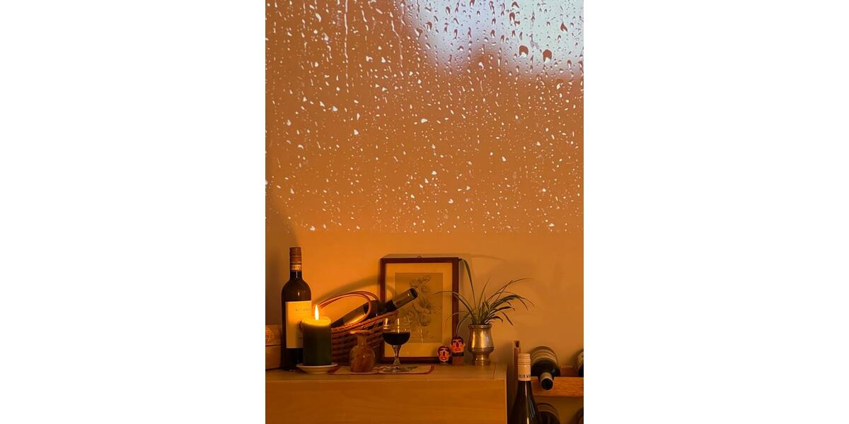 Dachgeschoßwohnung Berlin Pankow - 2 Zimmer, 50 m&sup2;, 1.200&euro; | Angebot:24864809