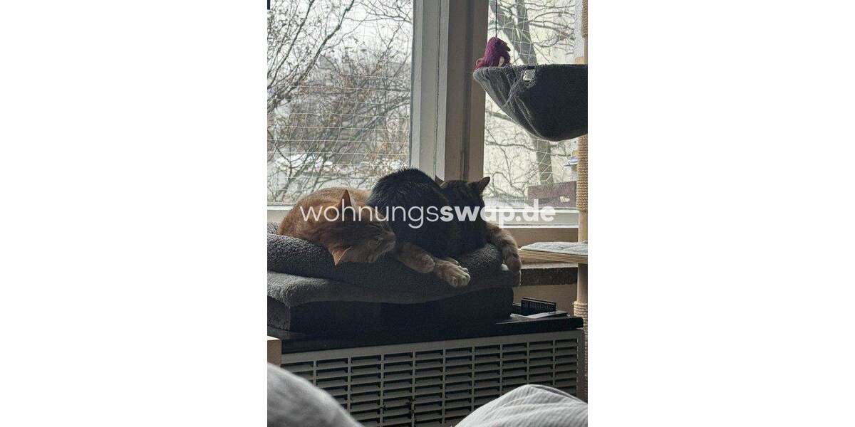 Etagenwohnung Berlin Weißensee - 2 Zimmer, 55 m&sup2;, 369&euro; | Angebot:25972238