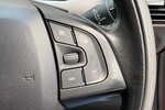 C4 Cactus