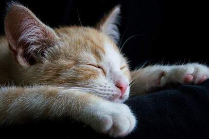 Hier fühlen Sie sich wohl, da auch die Nachbarn sehr nett sind im gepflegtem Umfeld 3 zimmer