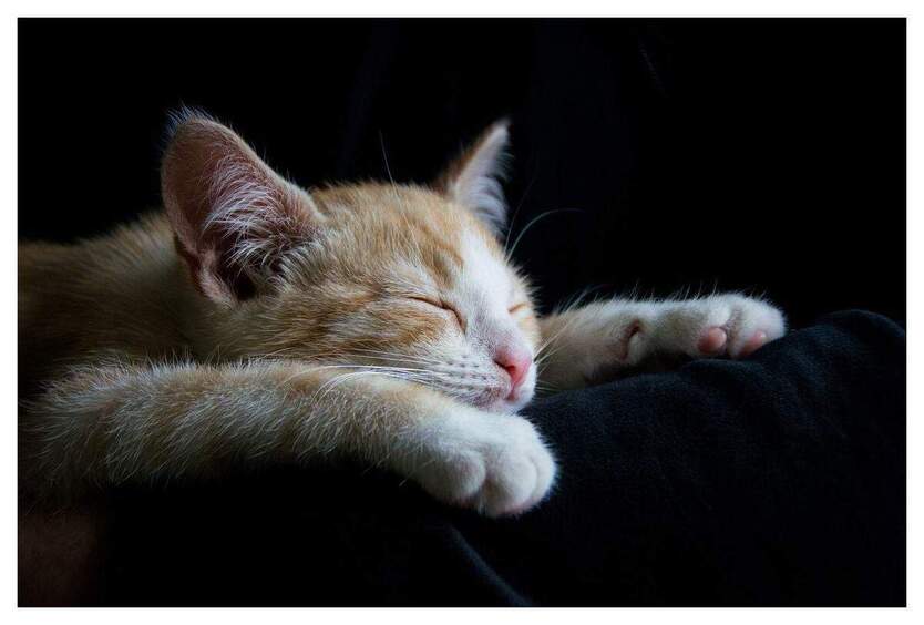 Hier fühlen Sie sich wohl, da auch die Nachbarn sehr nett sind im gepflegtem Umfeld 3 zimmer