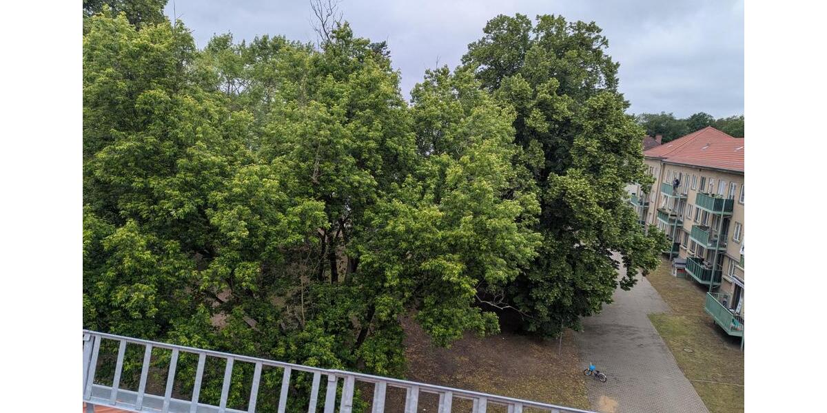 Dachgeschoßwohnung Berlin Charlottenburg-Wilmersdorf - 4 Zimmer, 110 m&sup2;, 550.000&euro; | Angebot:24603736