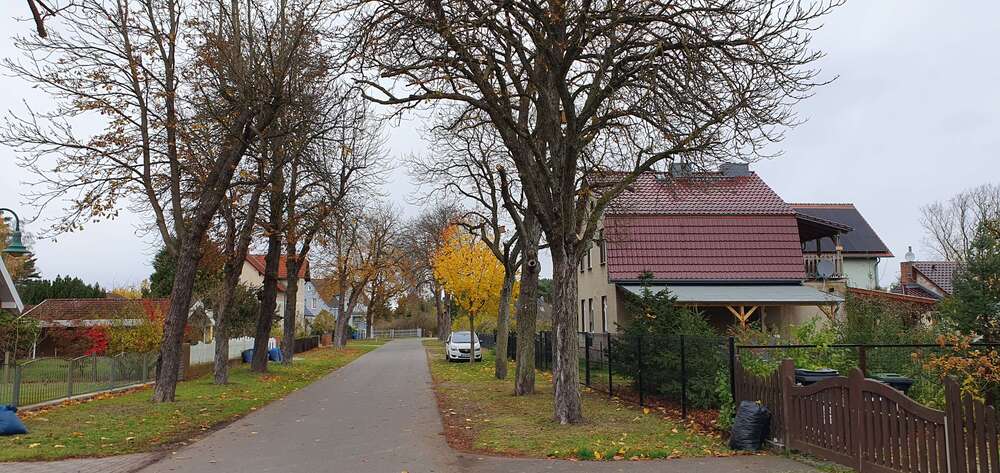 Grundstück Neu Zittau Neu Buchhorst - 135.000&euro; | Angebot:24873635