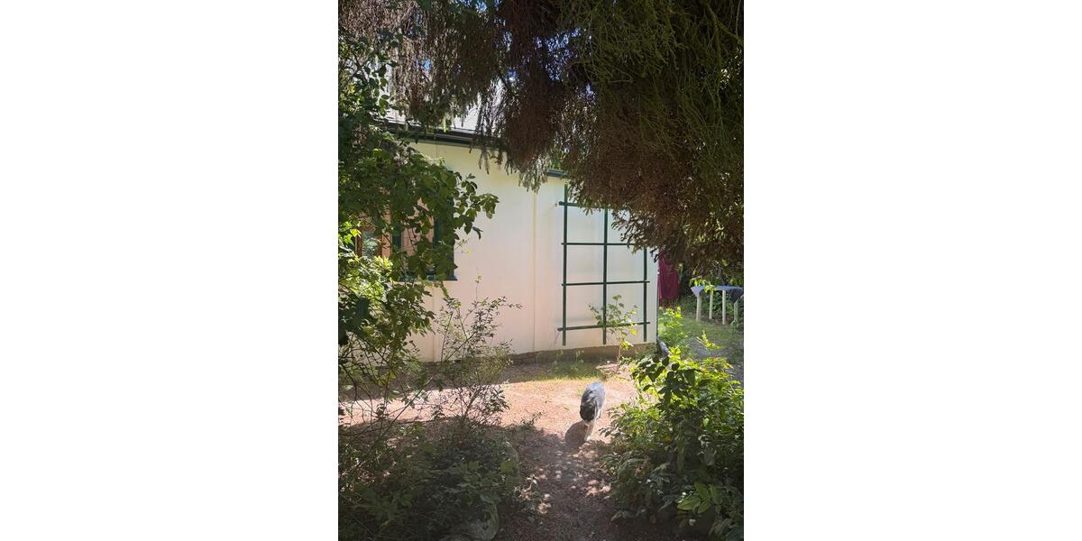 Einfamilienhaus Panketal - 1 Zimmer, 50 m&sup2;, 800&euro; | Angebot:24691202