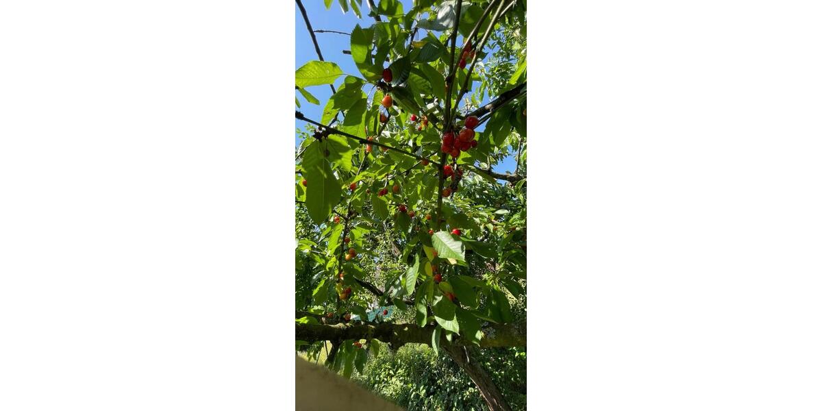 Einfamilienhaus Berlin Mitte - 179.000&euro; | Angebot:25986404