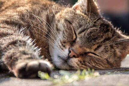 Diese wunderbare Wohnung könnte schon ganz bald Ihr neues Zuhause werden! :-)) 2 zimmer