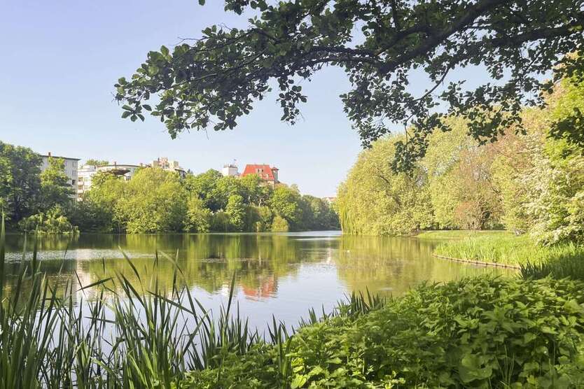 Wohnung zum Kaufen in Berlin 3.450.000 € 178.3 m²