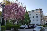 Etagenwohnung Berlin Mitte - 3 Zimmer, 58 m&sup2;, 349.900&euro; | Angebot:27308016