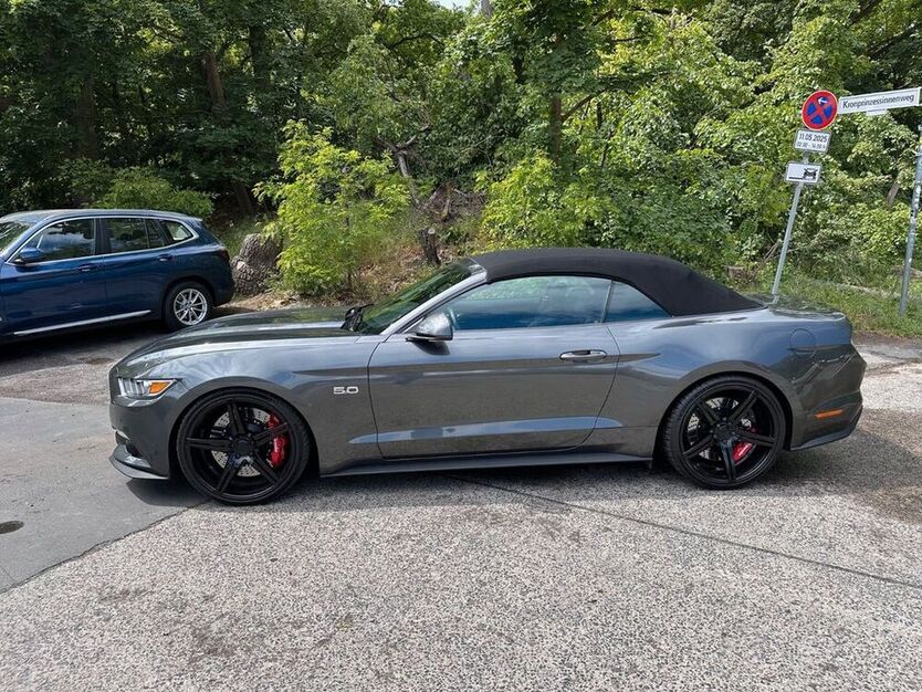 Mustang
