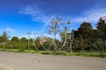Ca. 2.195 m² - Entwicklungsgrundstück mit Altbestand in Petershagen - Grundstück Petershagen-Eggersdorf Eggersdorf | Angebot:27086493