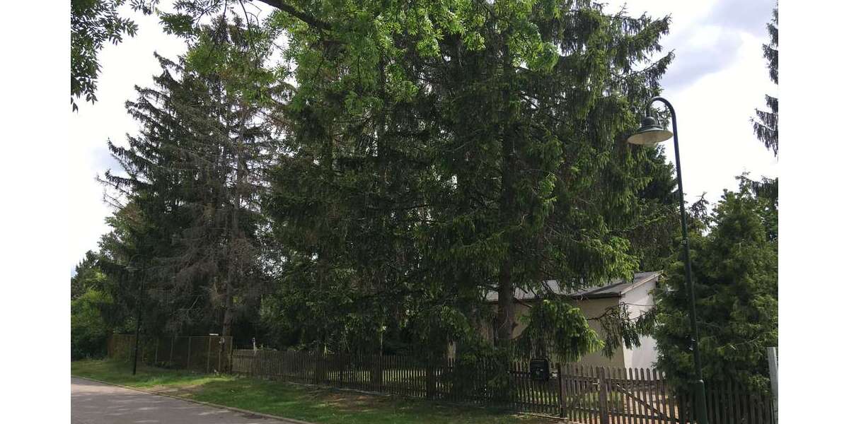Grundstück Ahrensfelde Lindenberg - 360.000&euro; | Angebot:26483105